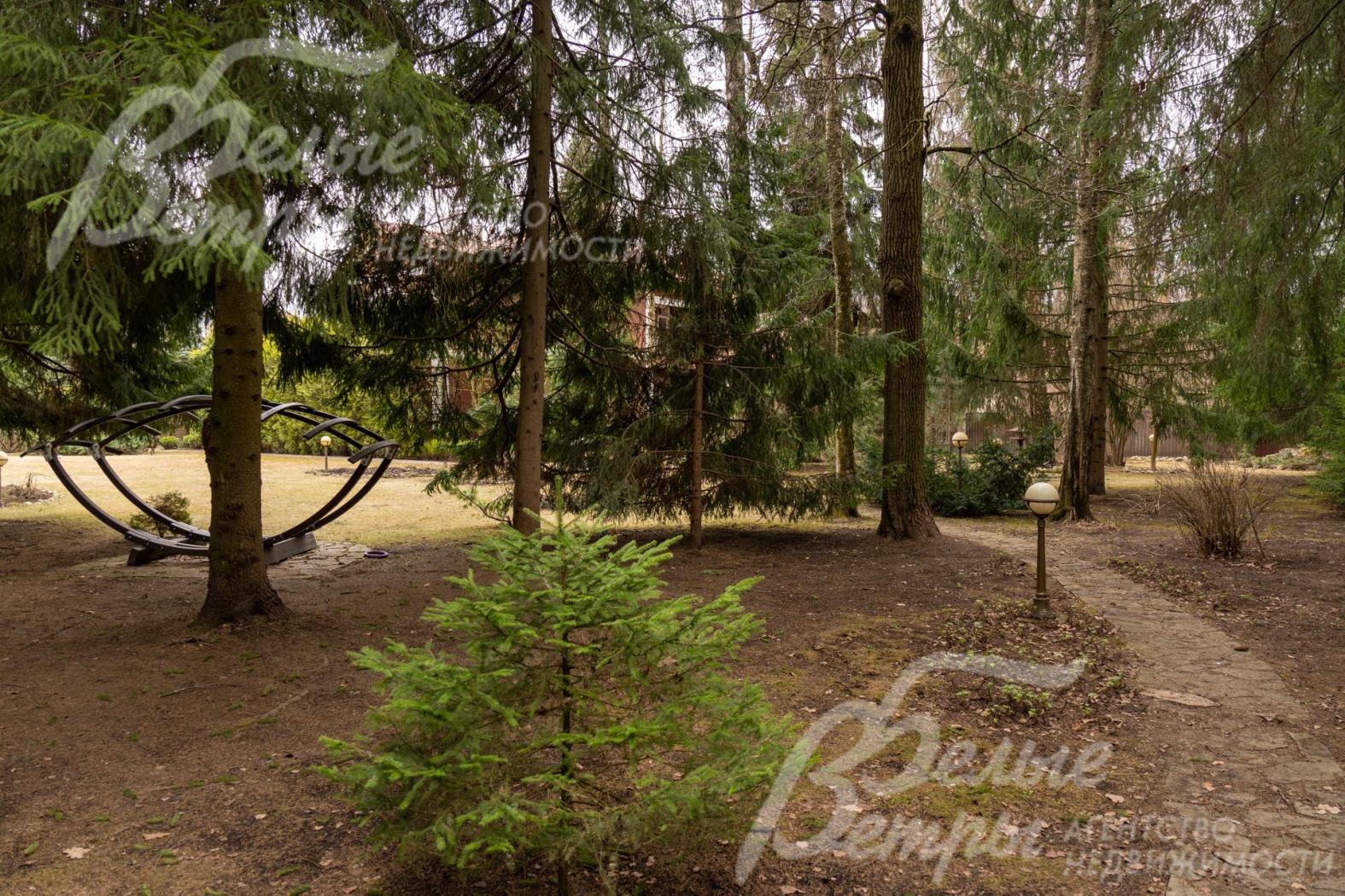 На участке - собственный выход в лес