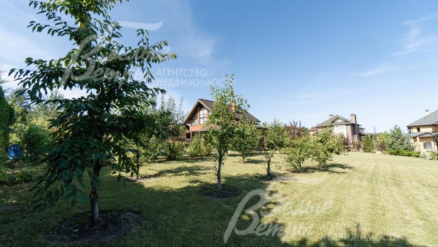 плодовый сад 