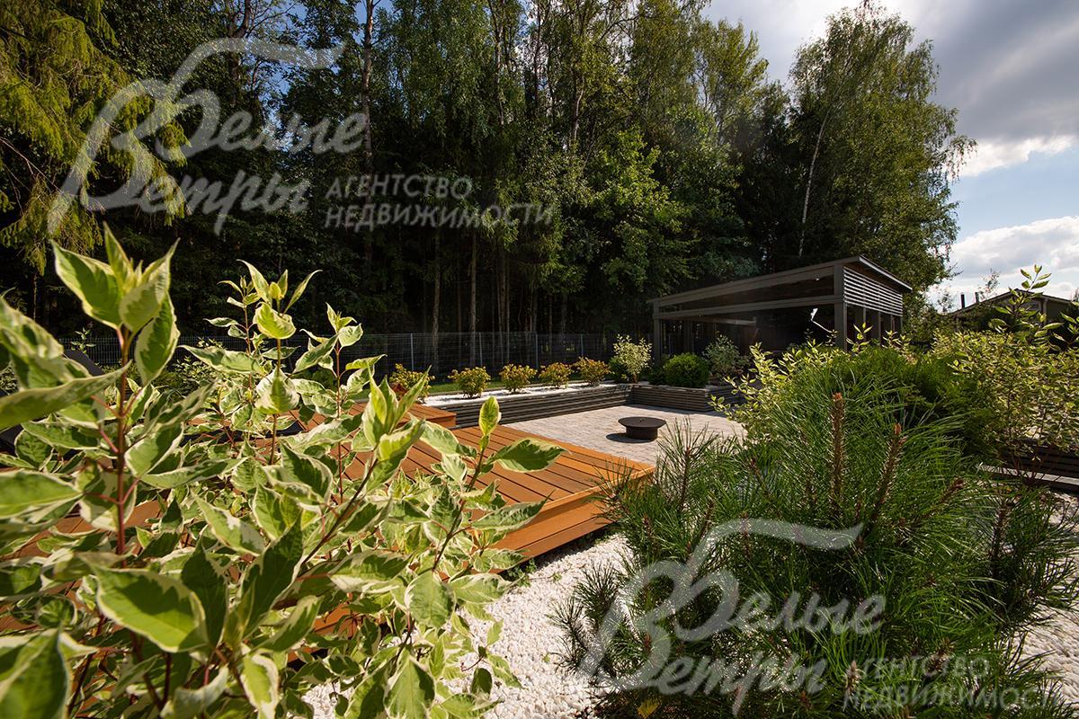 Вид на террасу у леса