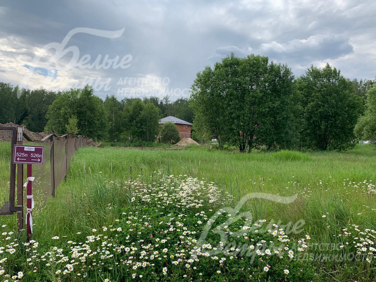 Участок с деревьями