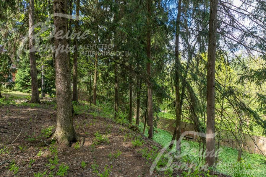 В нижней трети участка – спуск в овра